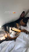 jenny.kaly Altpins Profile Picture