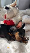 jenny.kaly Altpins Profile Picture