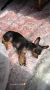 jenny.kaly Altpins Profile Picture