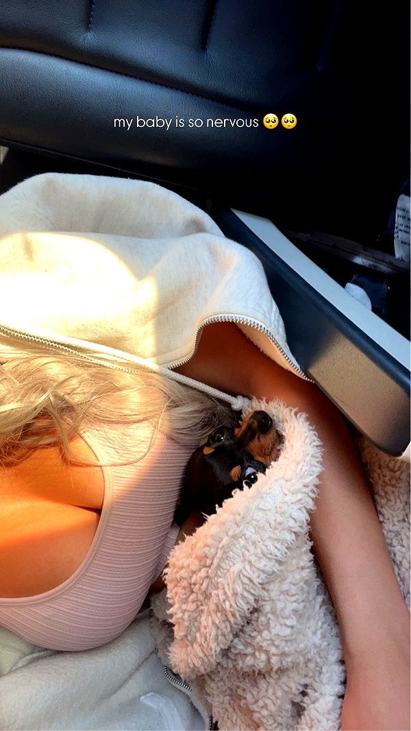 jenny.kaly instagram image archive image
