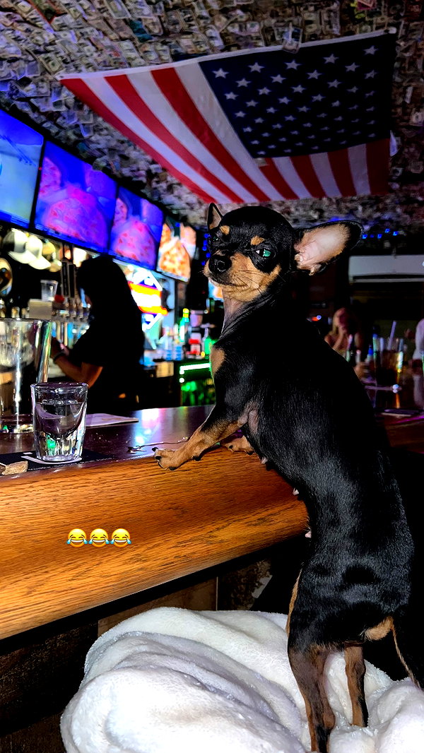 jenny.kaly instagram image archive image