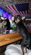 jenny.kaly Altpins Profile Picture