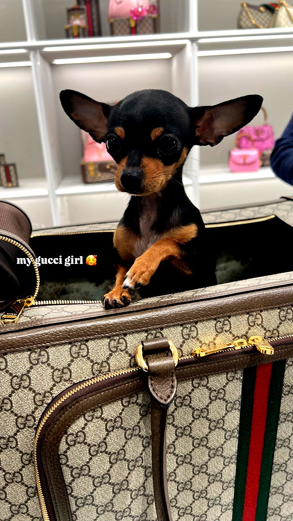 jenny.kaly instagram image archive image