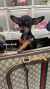 jenny.kaly Altpins Profile Picture