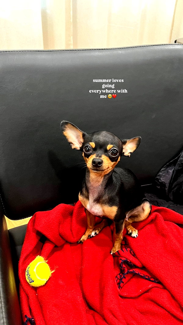 jenny.kaly instagram image archive image
