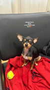jenny.kaly Altpins Profile Picture