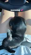 jenny.kaly Altpins Profile Picture