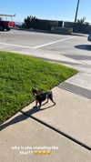 jenny.kaly Altpins Profile Picture