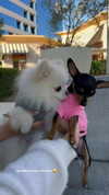 jenny.kaly Altpins Profile Picture