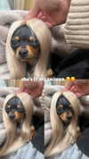 jenny.kaly Altpins Profile Picture