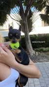 jenny.kaly Altpins Profile Picture