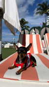 jenny.kaly Altpins Profile Picture