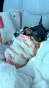 jenny.kaly Altpins Profile Picture