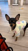 jenny.kaly Altpins Profile Picture