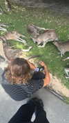 jess.burtonnn Altpins Profile Picture