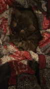 jesskq_ Altpins Profile Picture