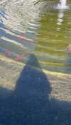 jesskq_ Altpins Profile Picture