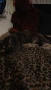 jesskq_ Altpins Profile Picture