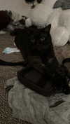 jesskq_ Altpins Profile Picture