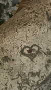 jesskq_ Altpins Profile Picture