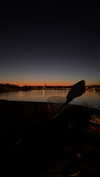 jesskq_ Altpins Profile Picture