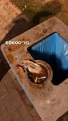 jesskq_ Altpins Profile Picture