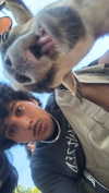 jesskq_ Altpins Profile Picture