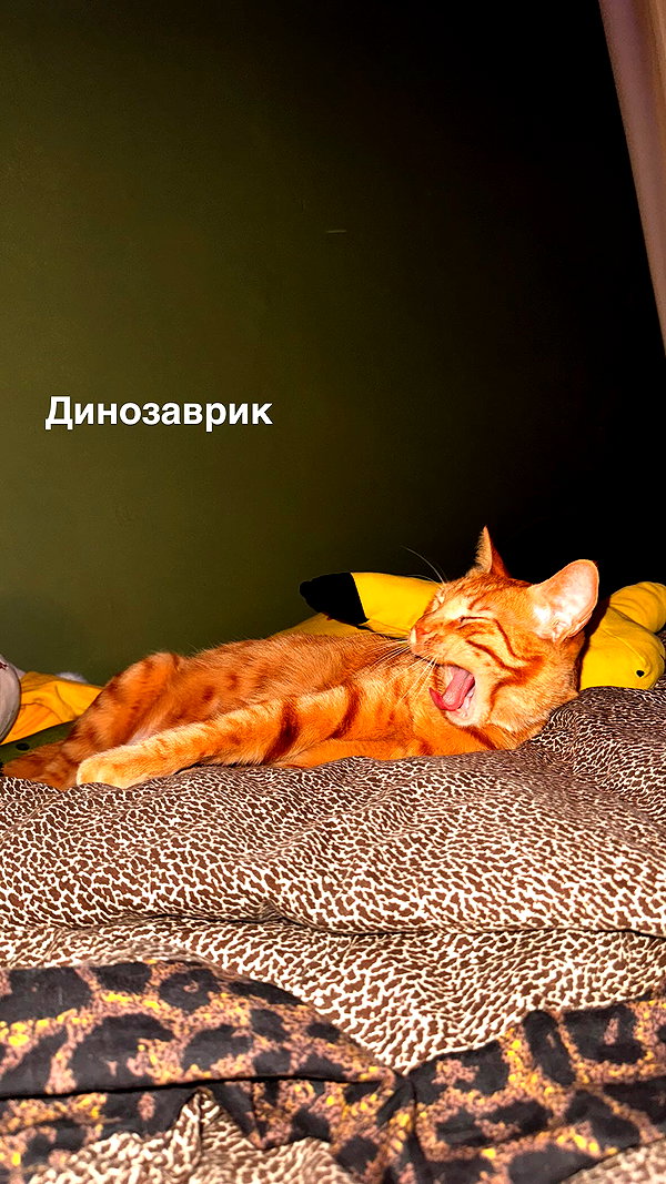 jesskq_ jesskq_ archive image