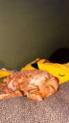 jesskq_ Altpins Profile Picture