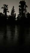 jessysiner Altpins Profile Picture