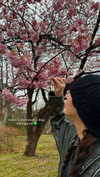 jhelenosx Altpins Profile Picture