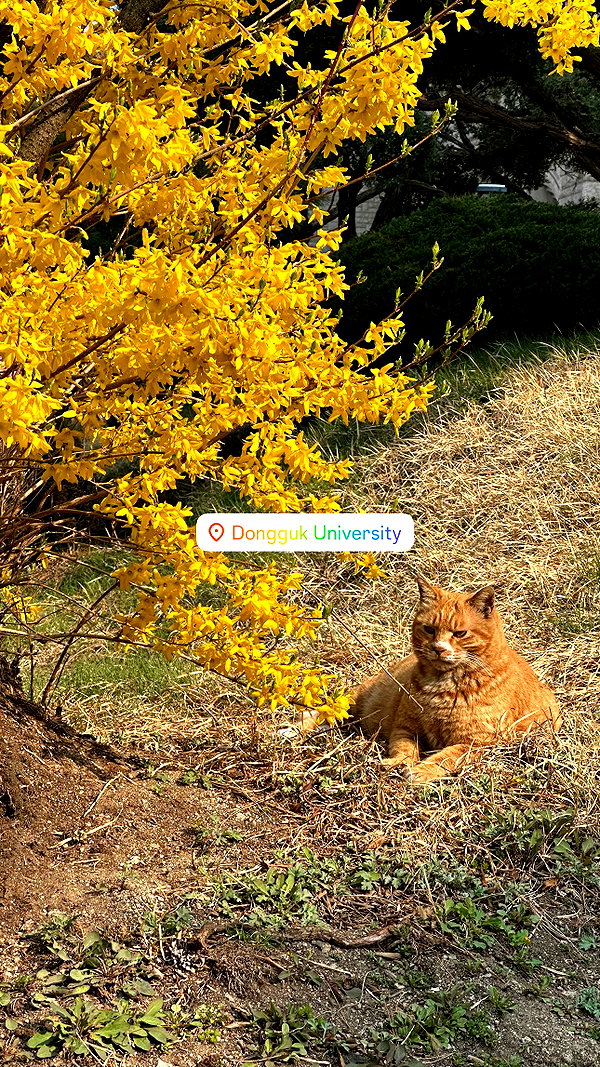 jhelenosx instagram image archive image