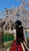 jhelenosx Altpins Profile Picture