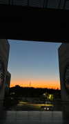jjas.ding Altpins Profile Picture