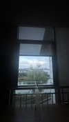jjas.ding Altpins Profile Picture