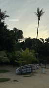 jjas.ding Altpins Profile Picture