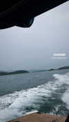 jjas.ding Altpins Profile Picture