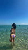 jjas.ding Altpins Profile Picture