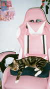 joycee.e Altpins Profile Picture