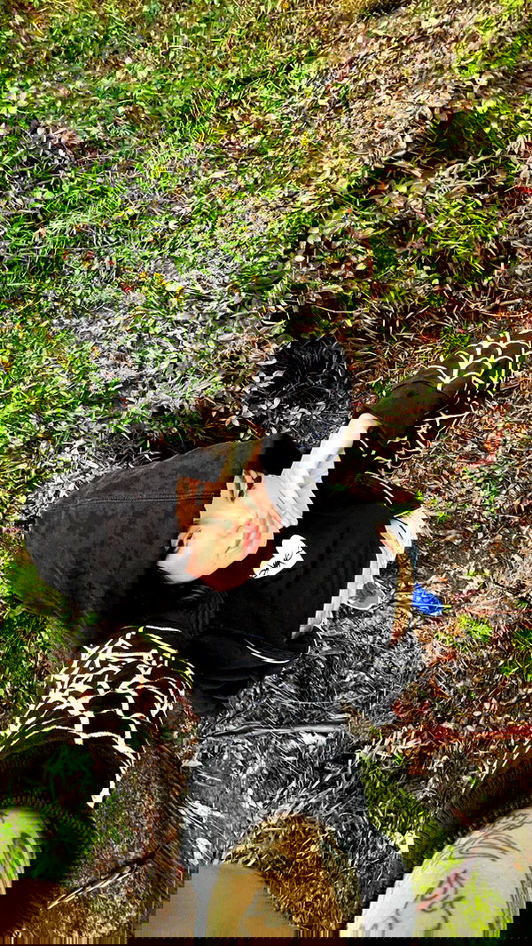 jtilb image ~ Altpins