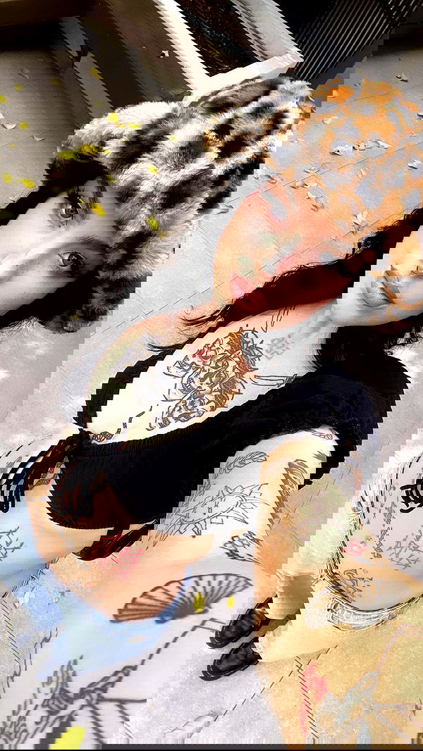 jtilb image ~ Altpins