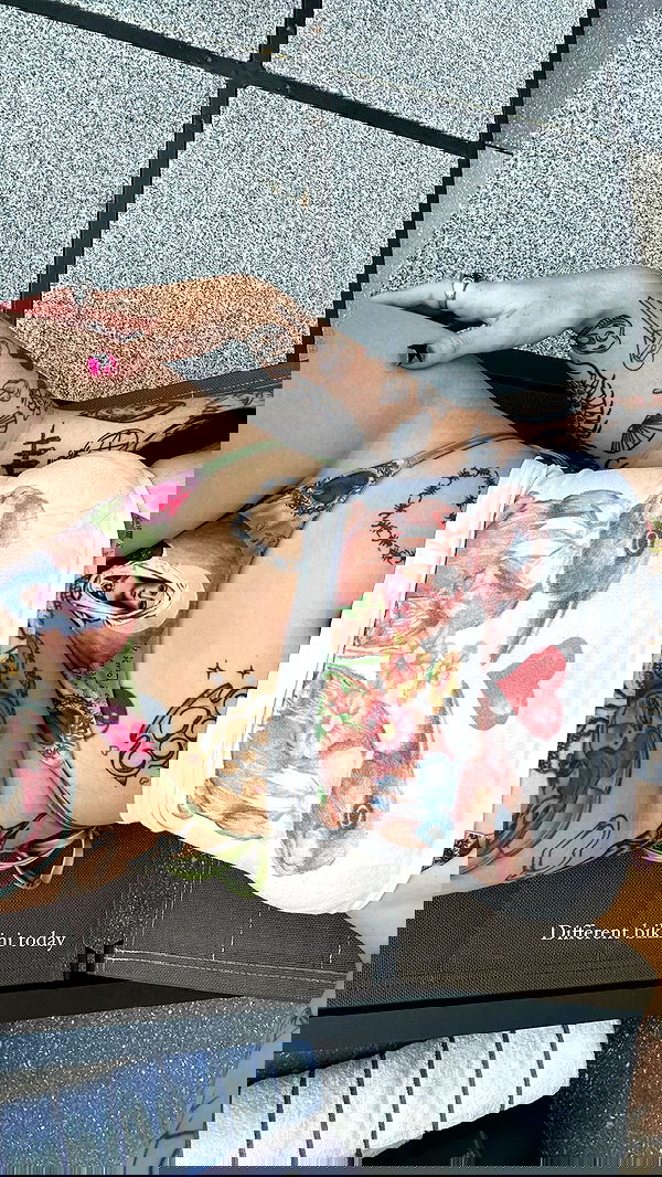 jtilb image ~ Altpins