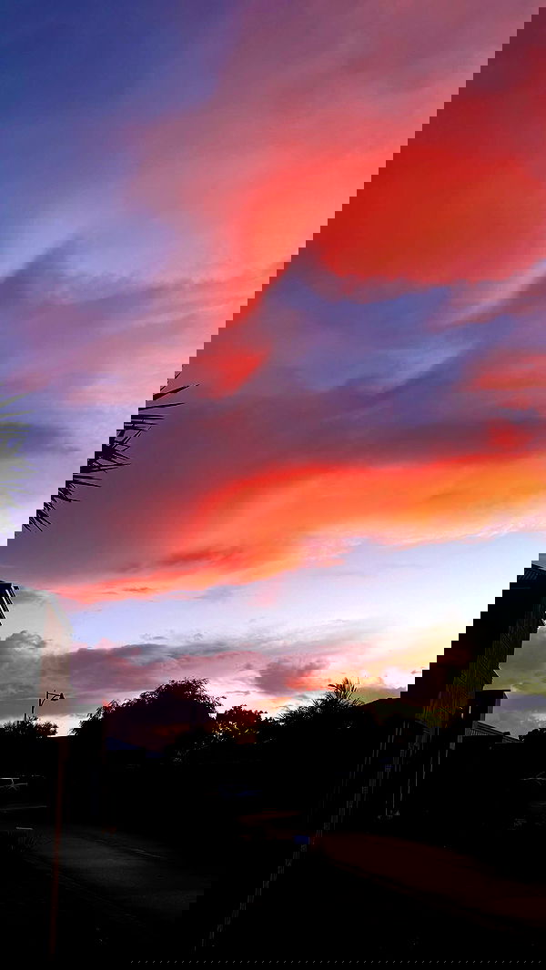 jtilb image ~ Altpins