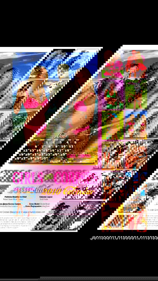 jtilb image ~ Altpins