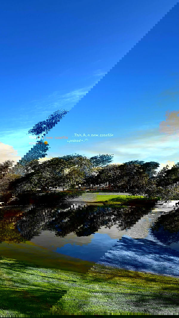 jtilb image ~ Altpins