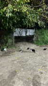 juani.biderman Altpins Profile Picture