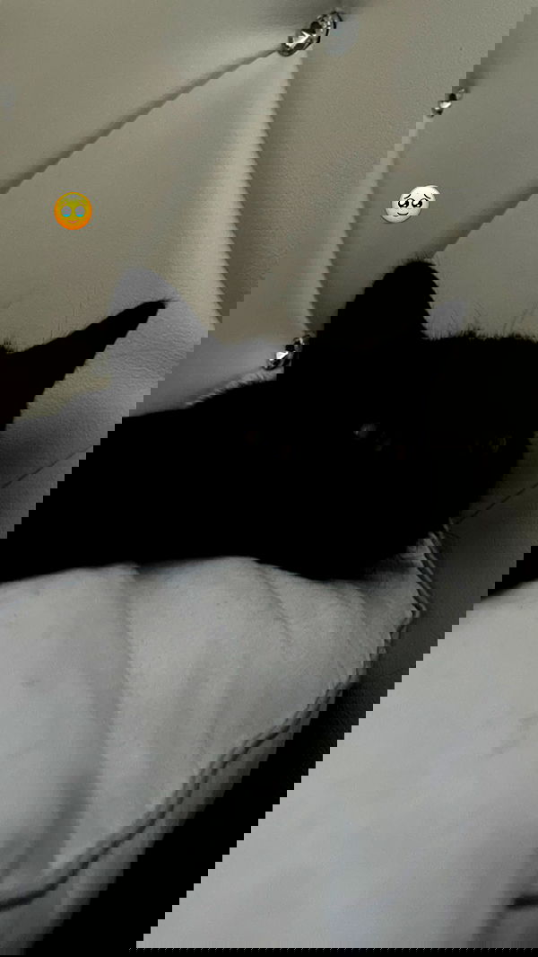 juliaelzz juliaelzz archive image