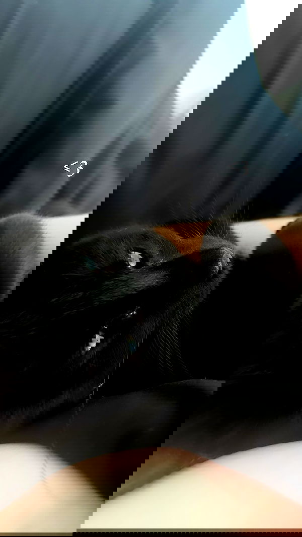 juliaelzz juliaelzz archive image