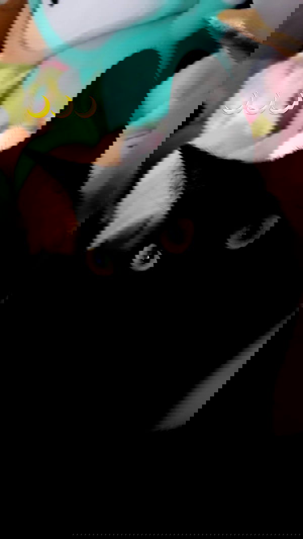 juliaelzz juliaelzz archive image