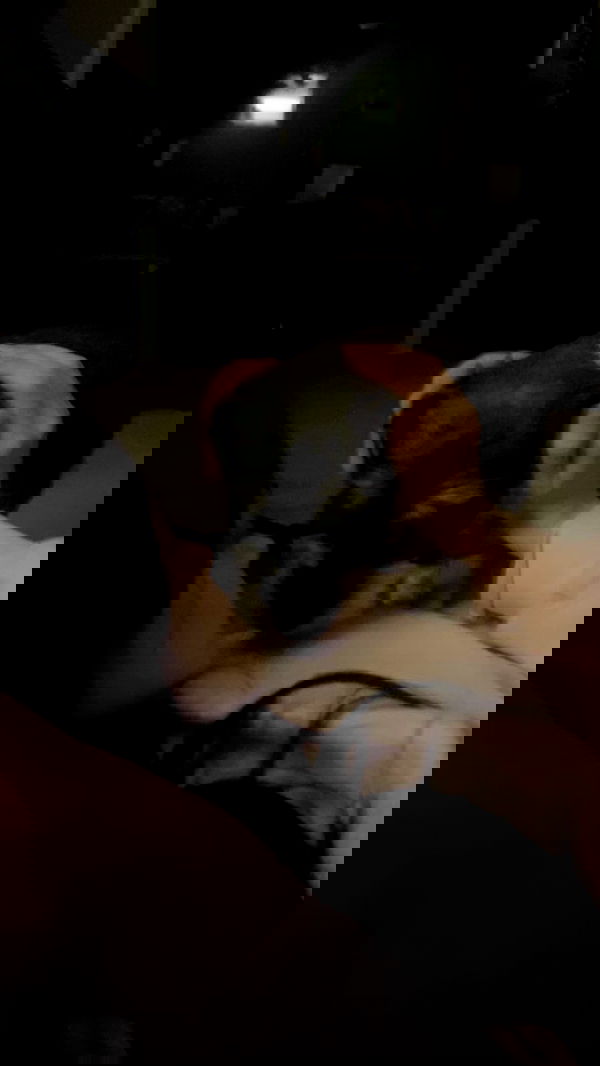 juliaelzz juliaelzz archive image